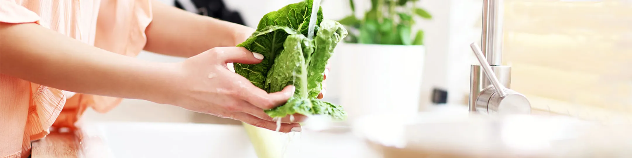 Salatschleudern
