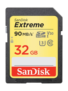 Sandisk 32 Go Extreme carte mémoire SDHC