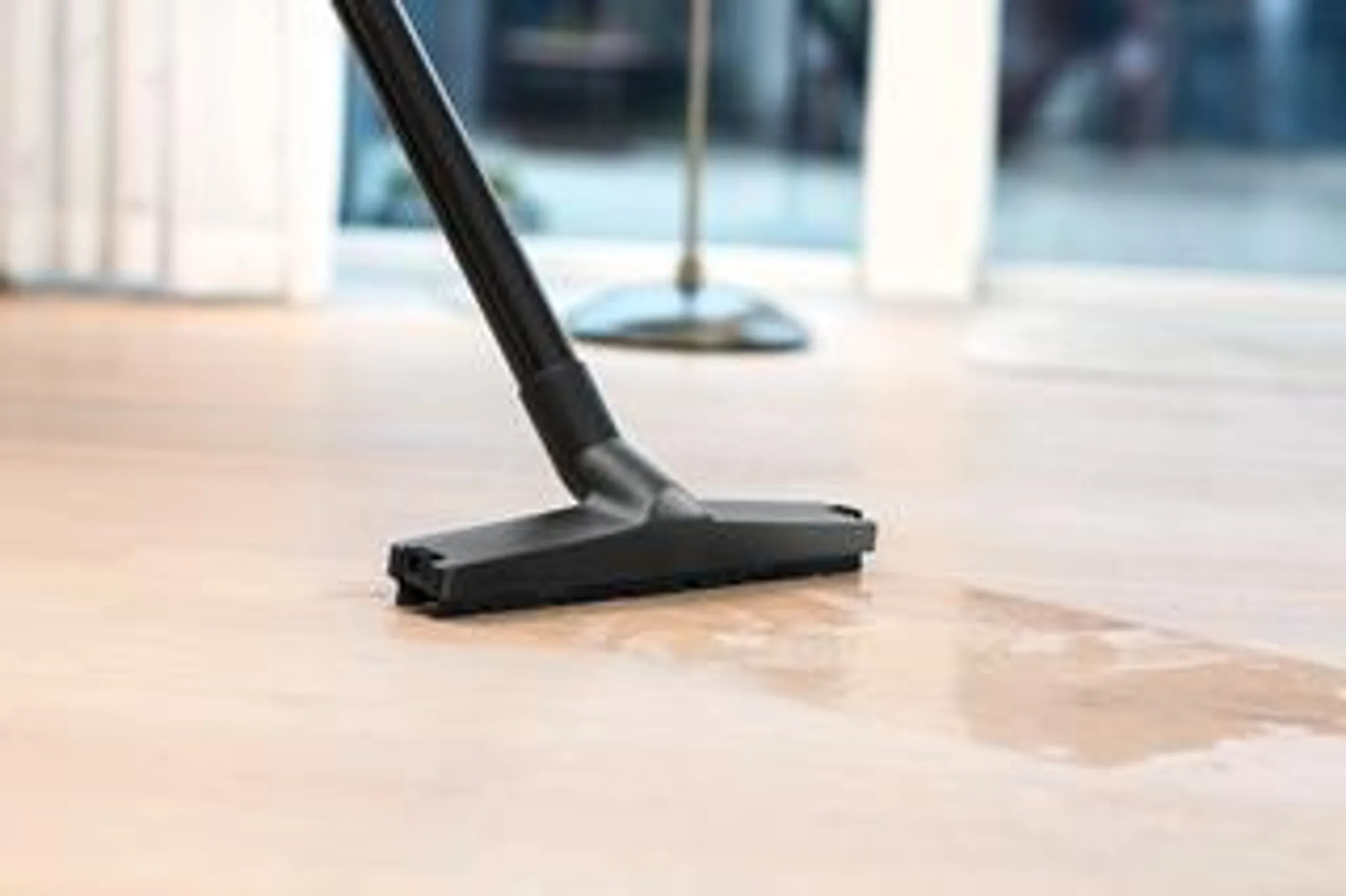 Nilfisk Aspirateur Avale-tout Buddy II 18 image