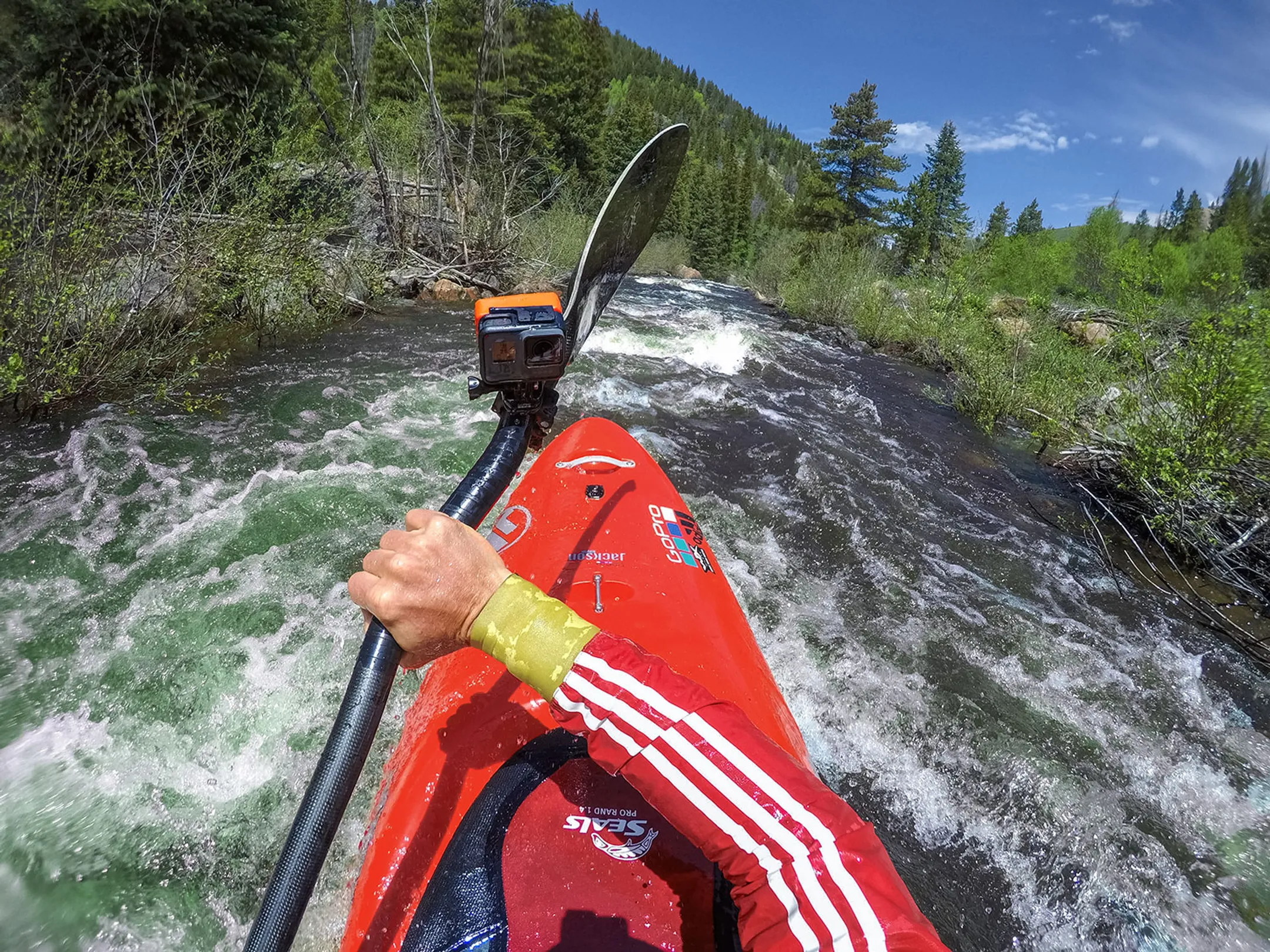 GoPro Grande fixation pour tube image