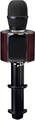 Lenco Microphone Enceinte Bluetooth Karaoké BMC-090 Noir