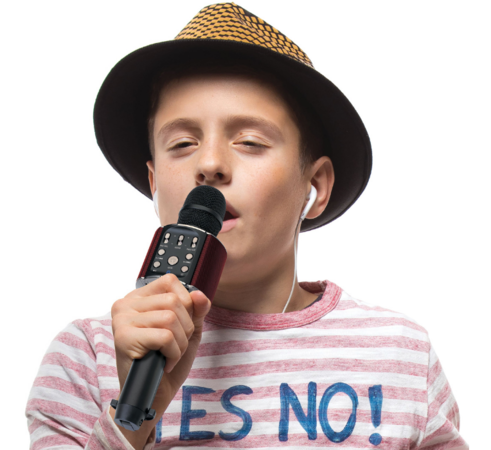 Lenco Microphone Enceinte Bluetooth Karaoké BMC-090 Noir