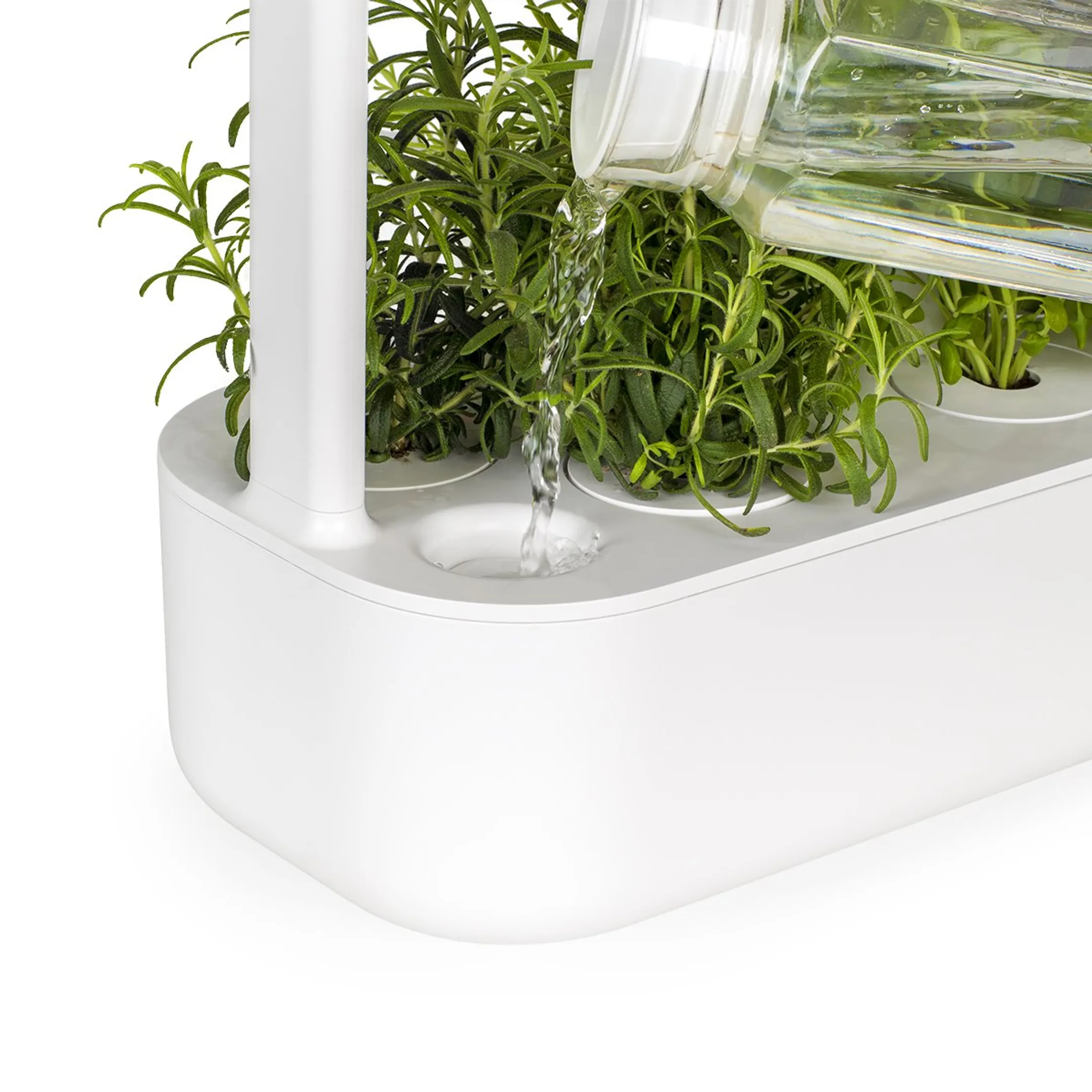 Click & Grow Smart Garden 9 GR image
