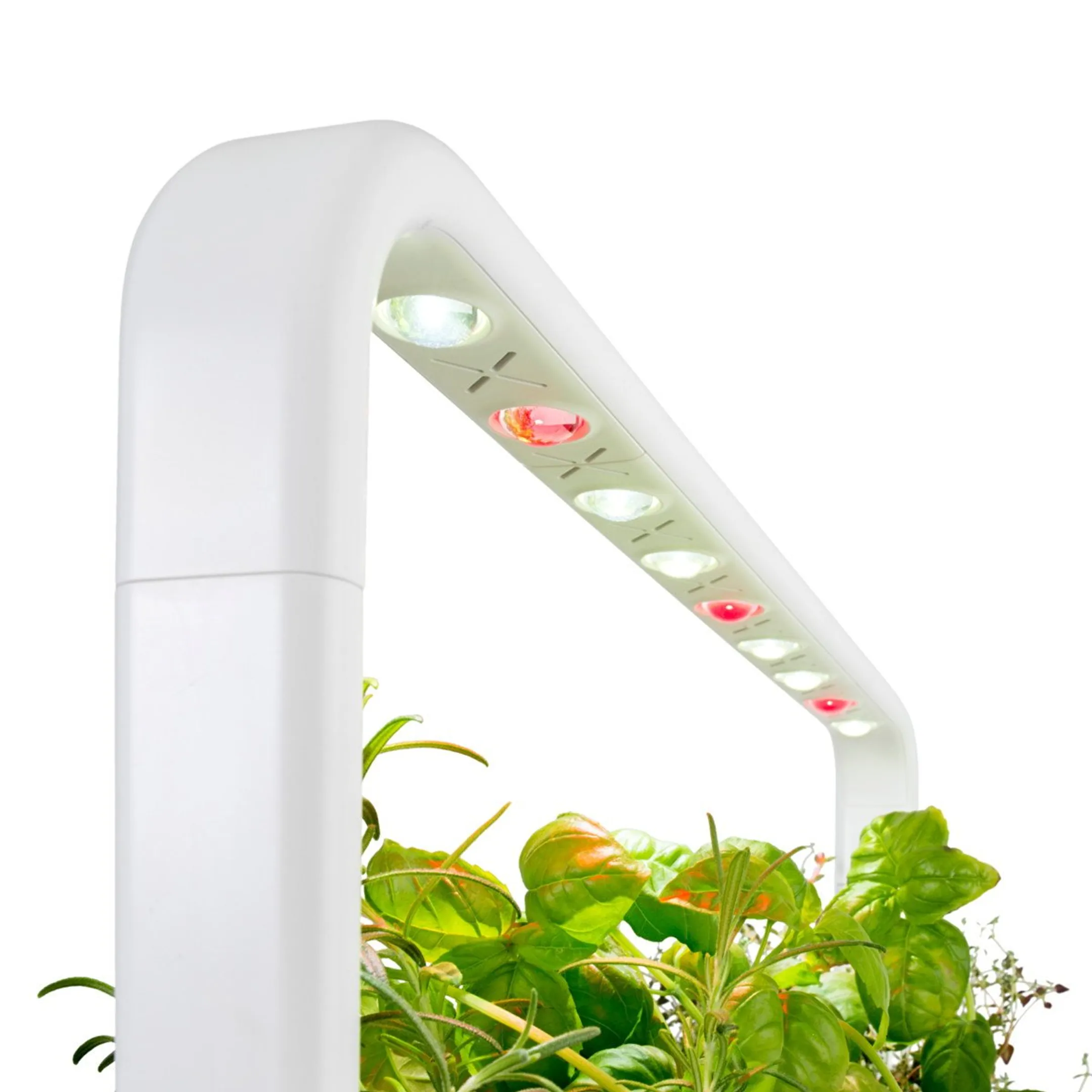 Click & Grow Smart Garden 9 GR image