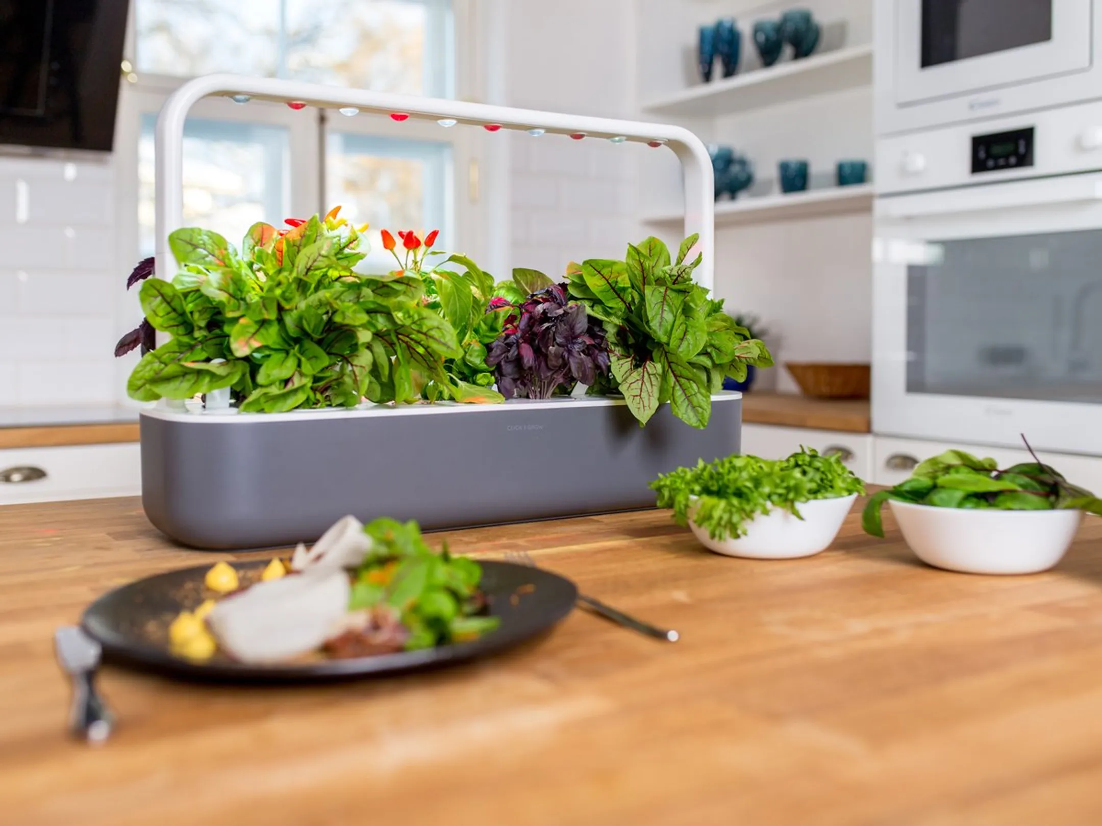 Click & Grow Smart Garden 9 GR image