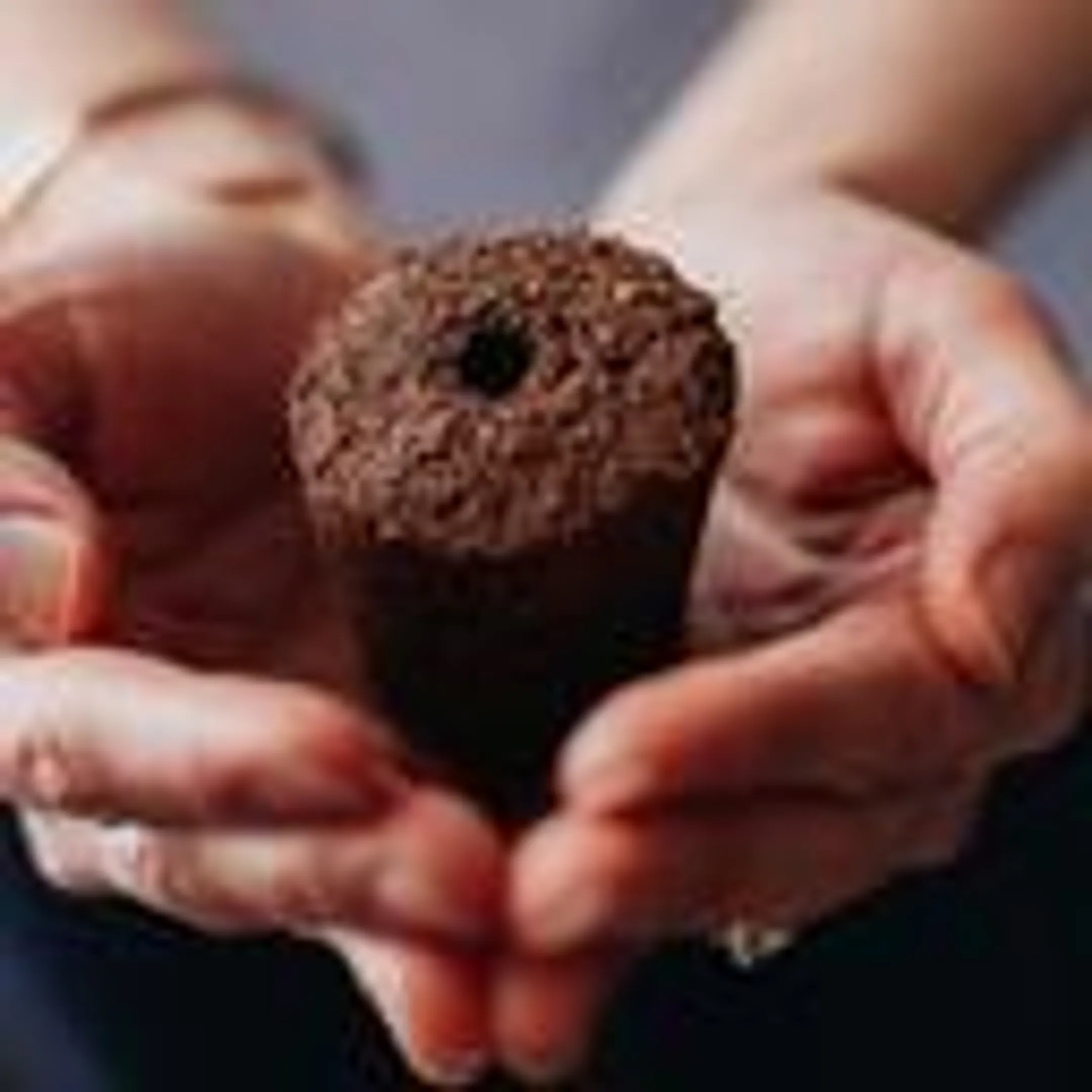 Click & Grow Smart Garden 9 GR image
