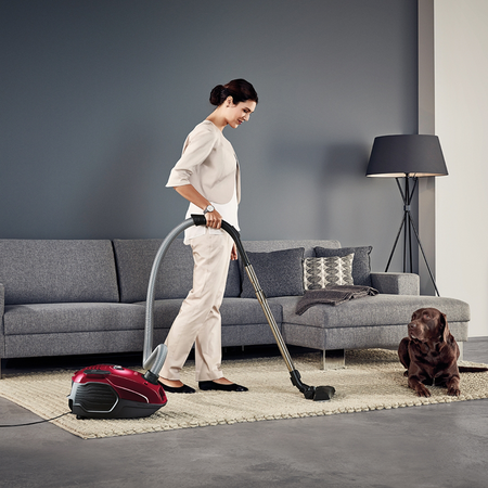 AEG Aspirateur traîneau avec sac VX6-2-RR