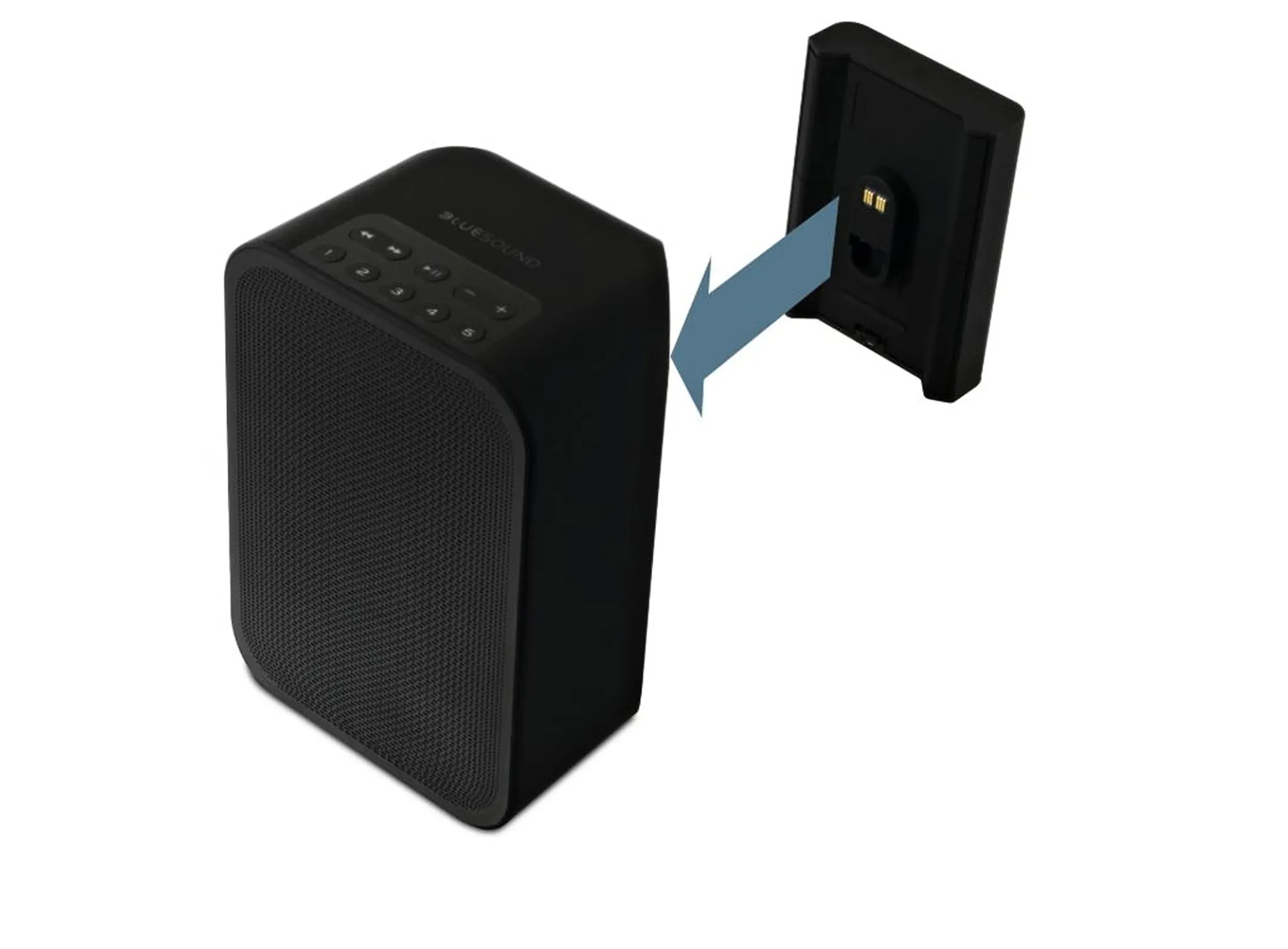 Batterie pour enceinte Bluesound Pulse Flex