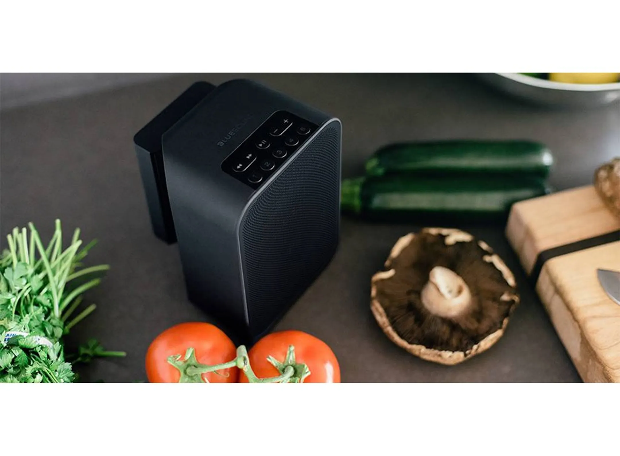 Batterie pour enceinte Bluesound Pulse Flex