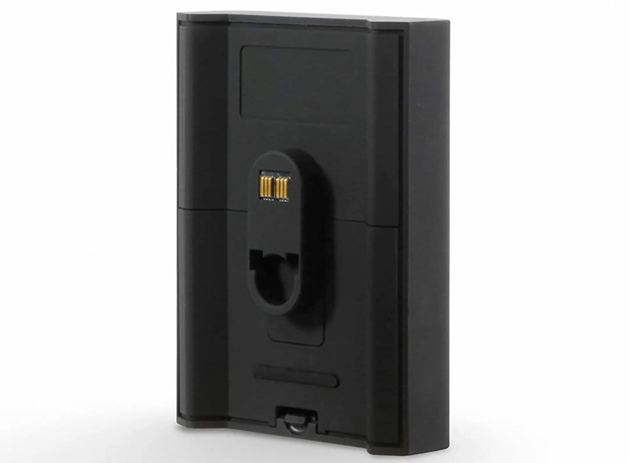 Batterie pour enceinte Bluesound Pulse Flex