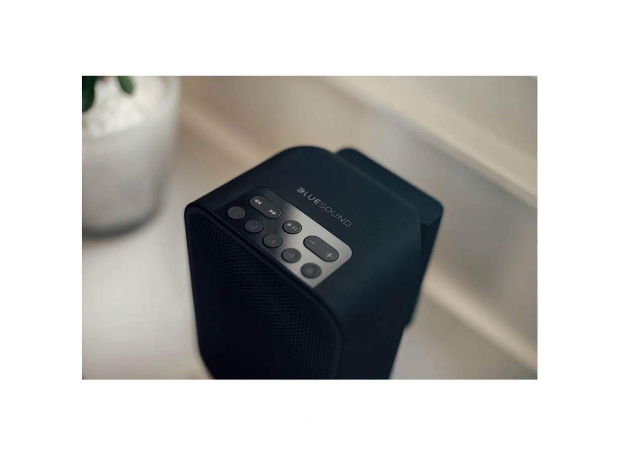 Batterie pour enceinte Bluesound Pulse Flex