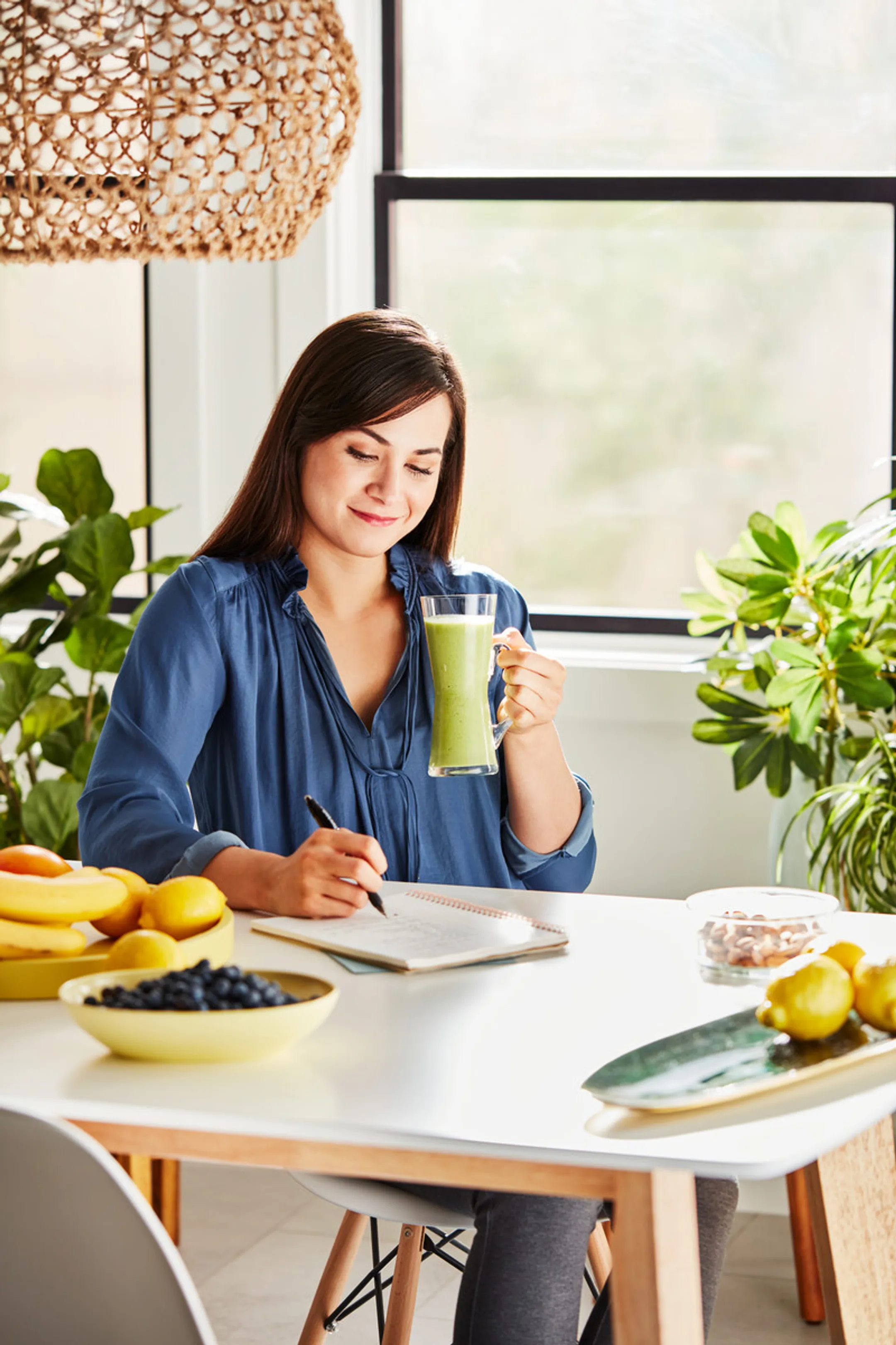 KitchenAid Blender 5KSB4026EOB image