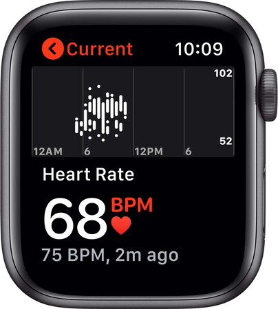 Apple Watch SE Nike - Sideral Gray/Anthracite Black 44mm