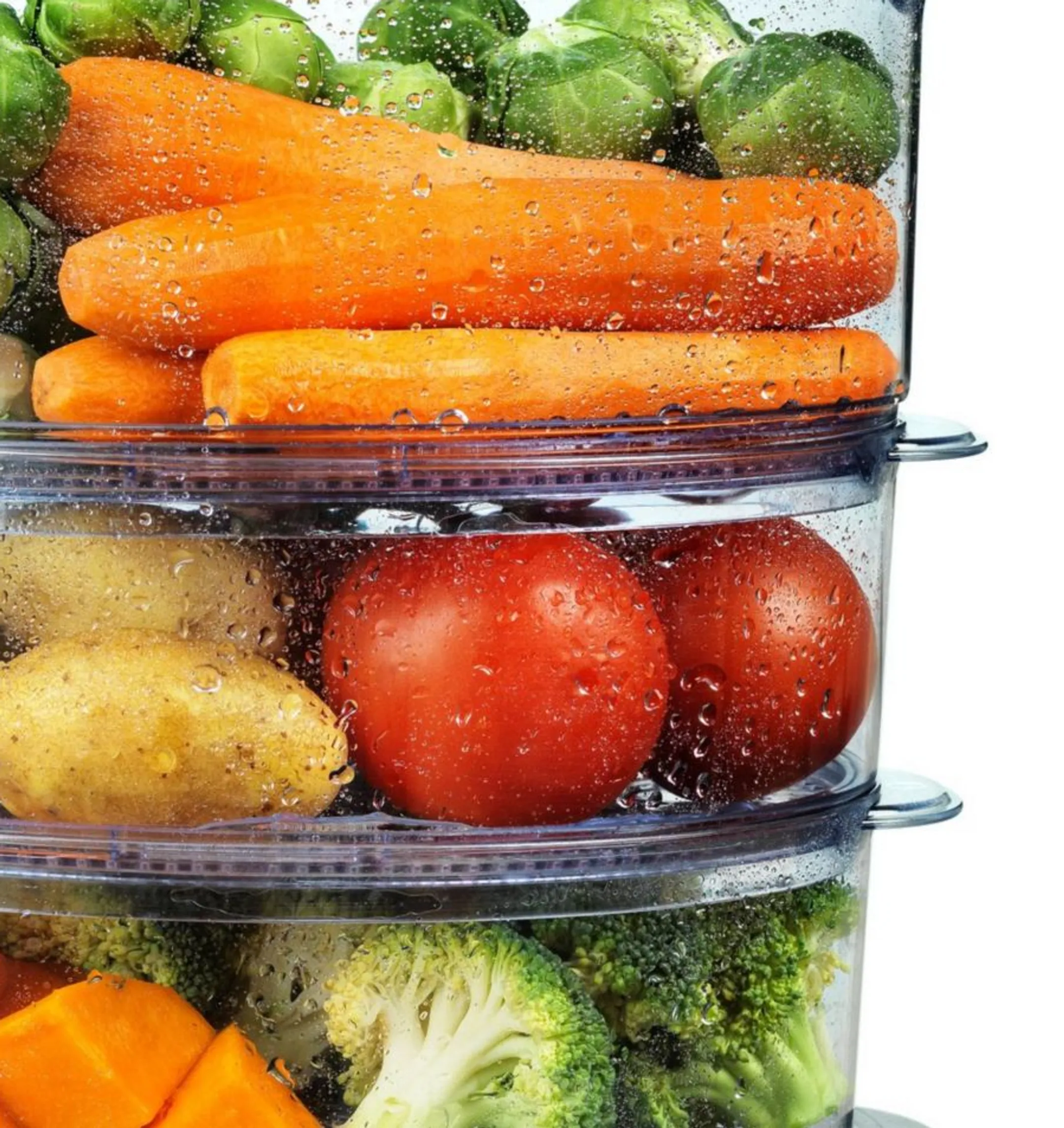 ESSENTIEL-B Steam cooker ECVI 1 Vapotou image