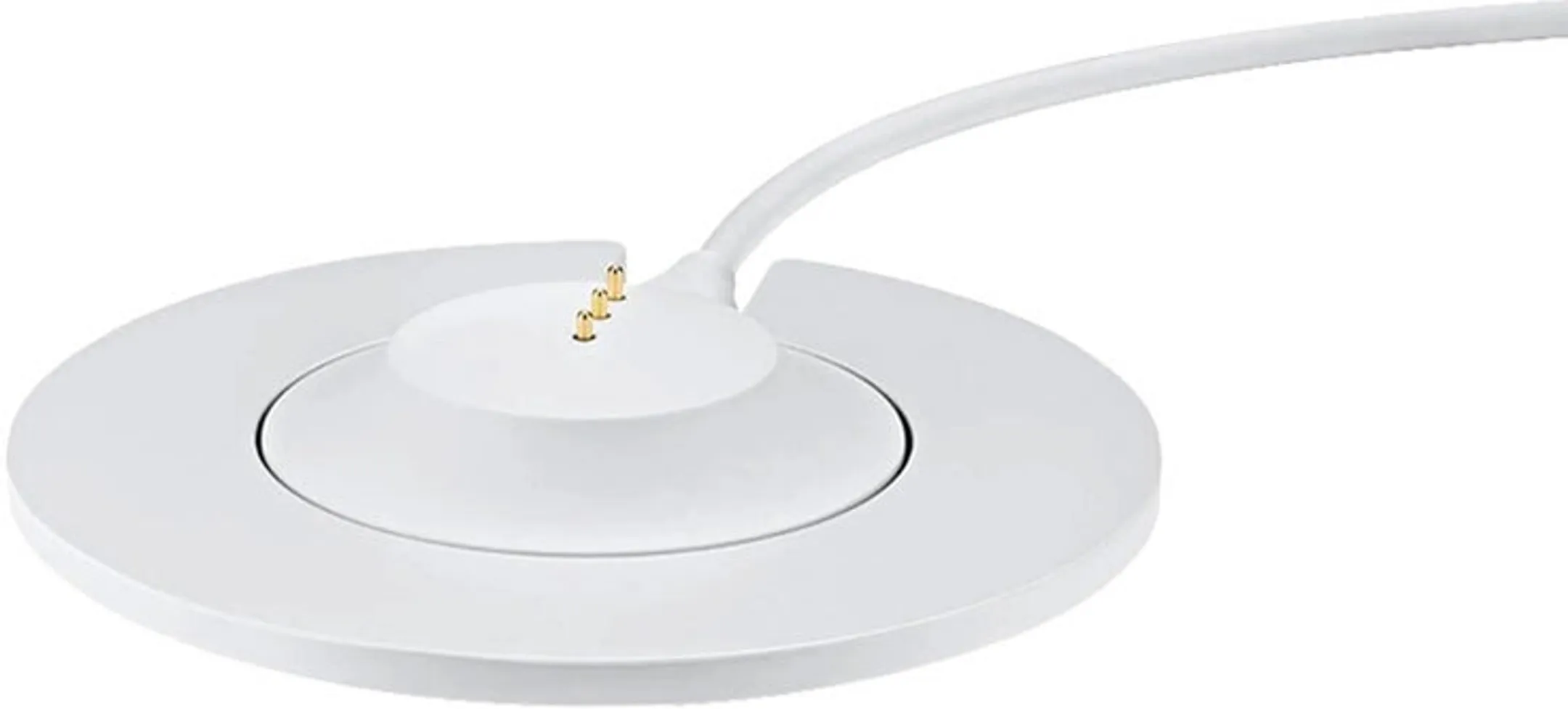 Portable Home Speaker Ladestation - Luxe Silver