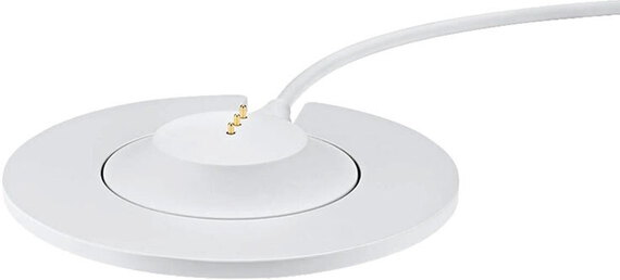 Bose Portable Home Speaker Station de charge - Luxe Silver