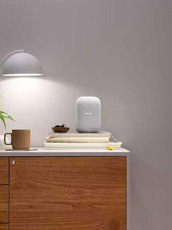 Google Nest Audio - Chalk