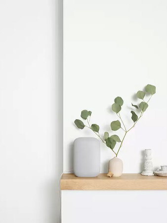 Google Nest Audio - Chalk