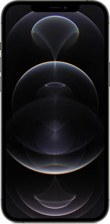 Apple iPhone 12 Pro Max 256 Go Graphite