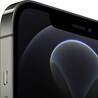 Apple iPhone 12 Pro Max 256 Go Graphite