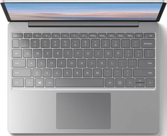 Microsoft Surface Laptop Go Core™ i5 256 Go Platine AZERTY