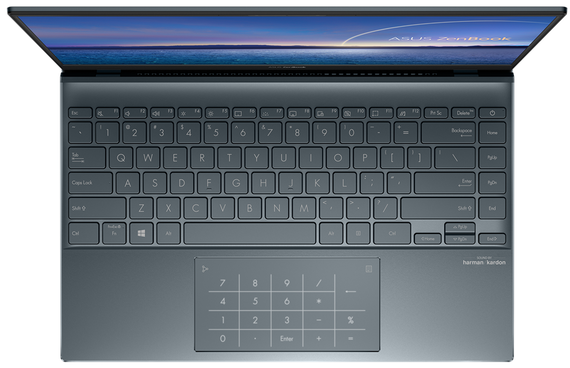 Asus ZenBook 14 UX425EA-HM046T QWERTZ