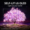 LG TV OLED 4K OLED77C16 (2021) - 77 pouces