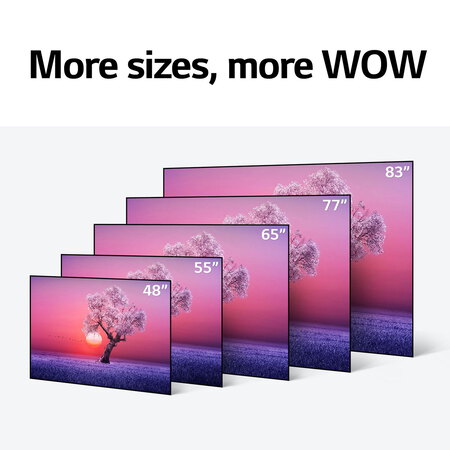 LG TV OLED 4K OLED77C16 (2021) - 77 pouces