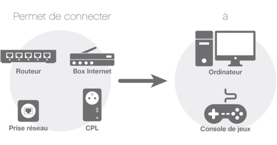 ESSENTIEL-B Câble Ethernet 10M Droit CAT6E noir