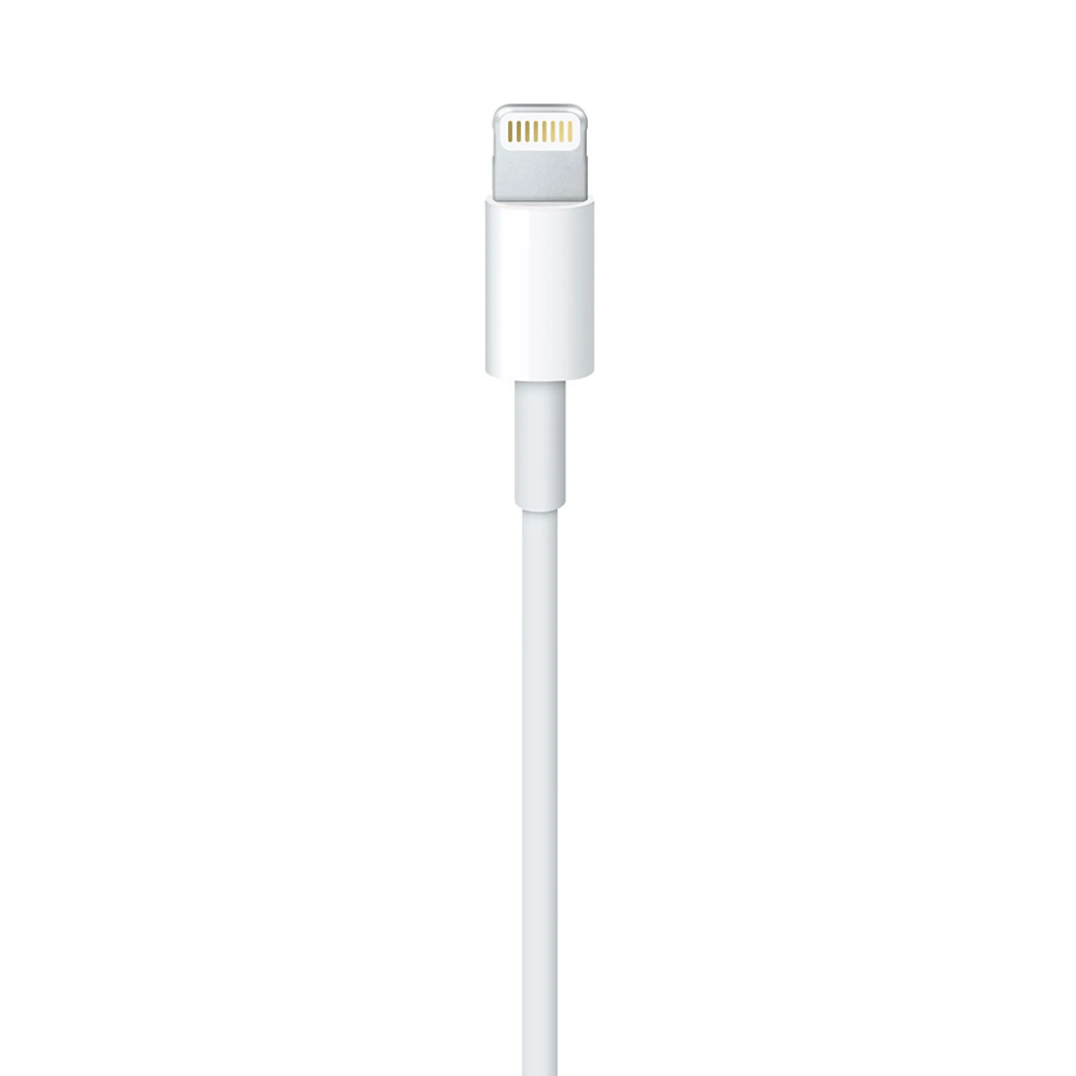 Apple Câble Lightning vers USB pour iPhone, iPad, iPod - 1 m image