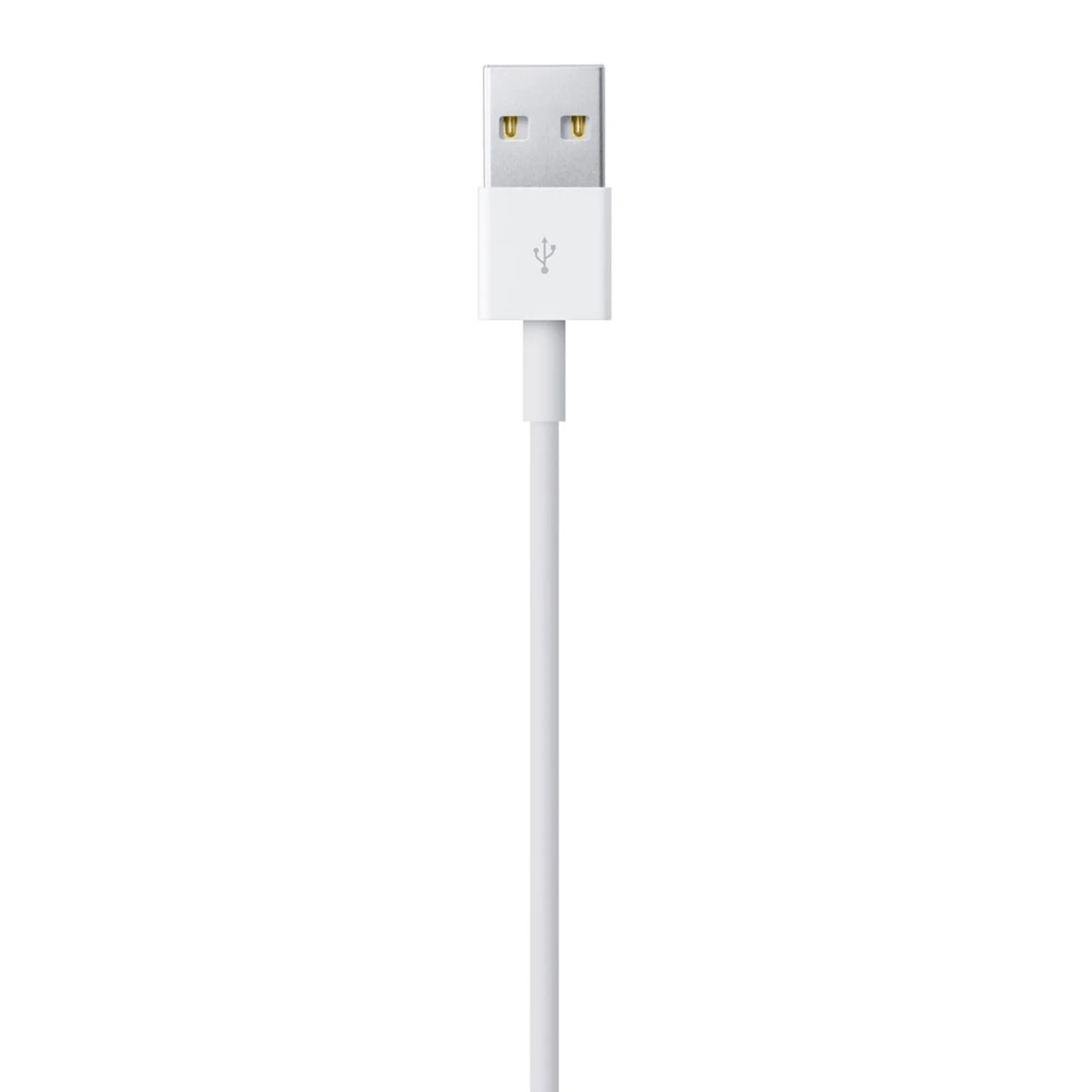 Apple Câble Lightning vers USB pour iPhone, iPad, iPod - 1 m image