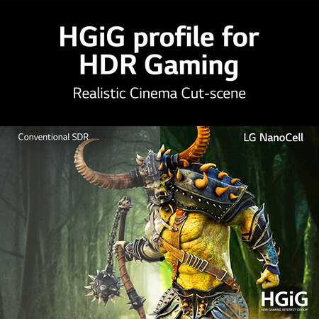 LG TV LED 4K 65NANO756PA Nanocell (2021) - 65 pouces