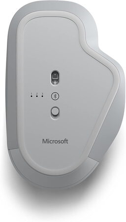 Microsoft Precision Mouse Gris