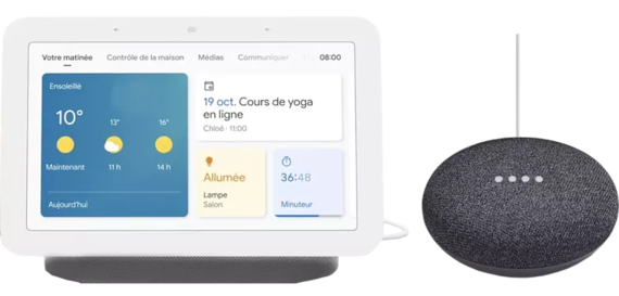 Google Nest Hub (2nd gen.) + Home Nest Mini - Gris