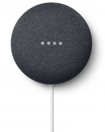 Google Nest Hub (2nd gen.) + Home Nest Mini - Gris