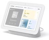 Google Nest Hub (2nd gen.) + Home Nest Mini - Gris