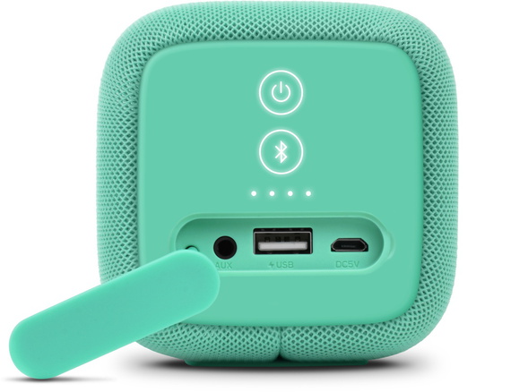 FRESH NREBEL Enceinte Bluetooth Rockbox Bold M - Peppermint