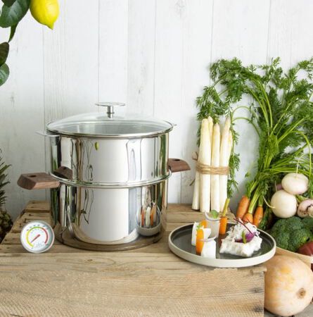 CRISTEL Cuiseur Biome cuisson saine Ø20cm CV20BPLBH