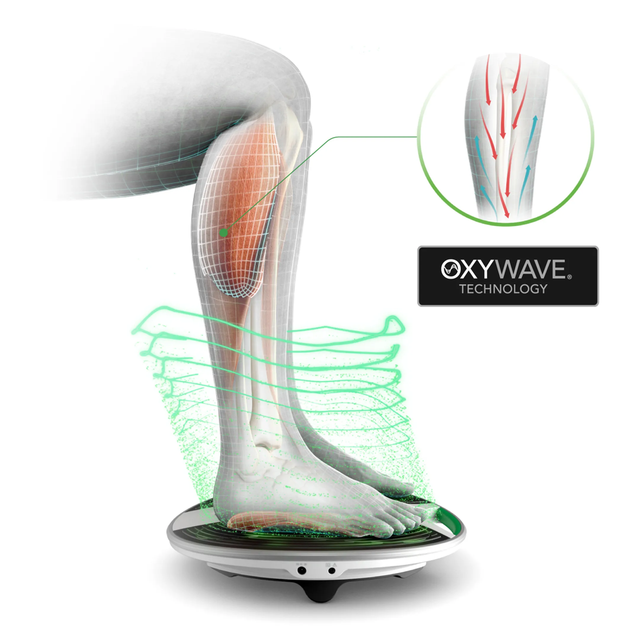 Revitive Circulatory stimulator Revitive Medic Genou image