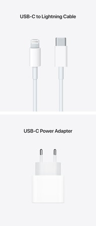 Apple iPad (2021) Wi-Fi 256 Go Gris sidéral