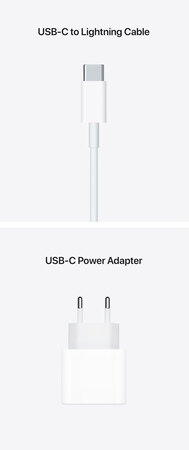 Apple iPad mini 6 Wi-Fi 256 Go Rose