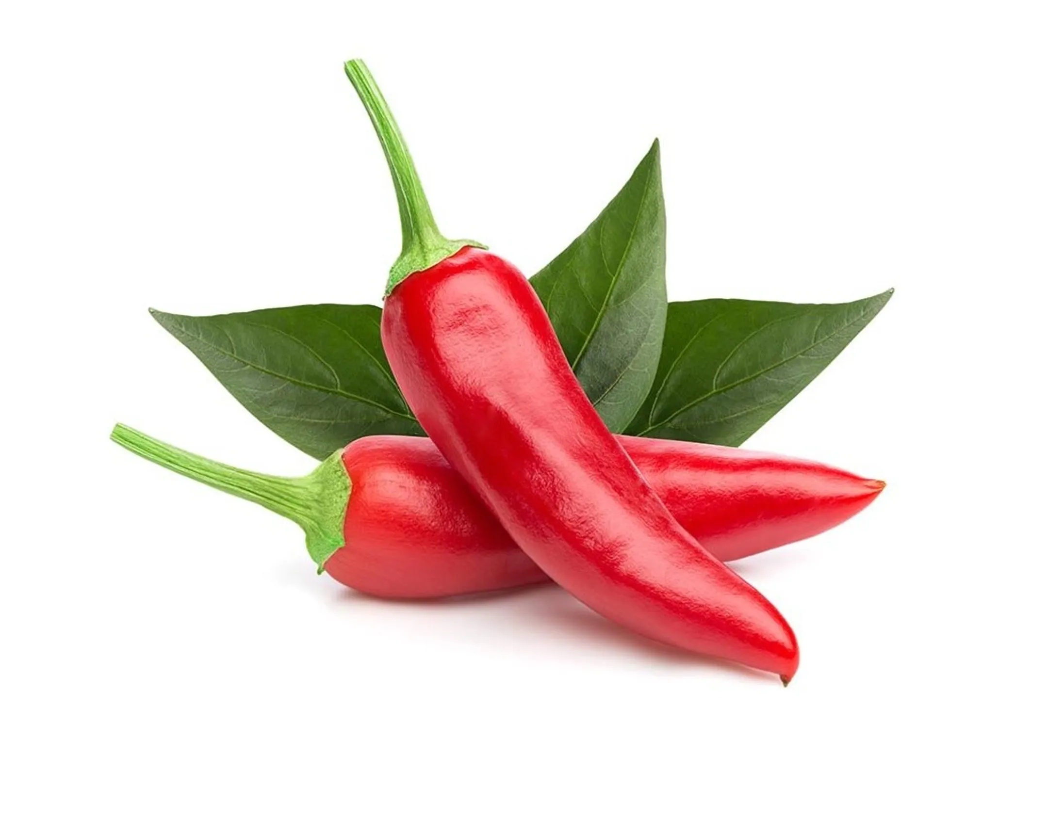 Recharge Smart Garden - Piment