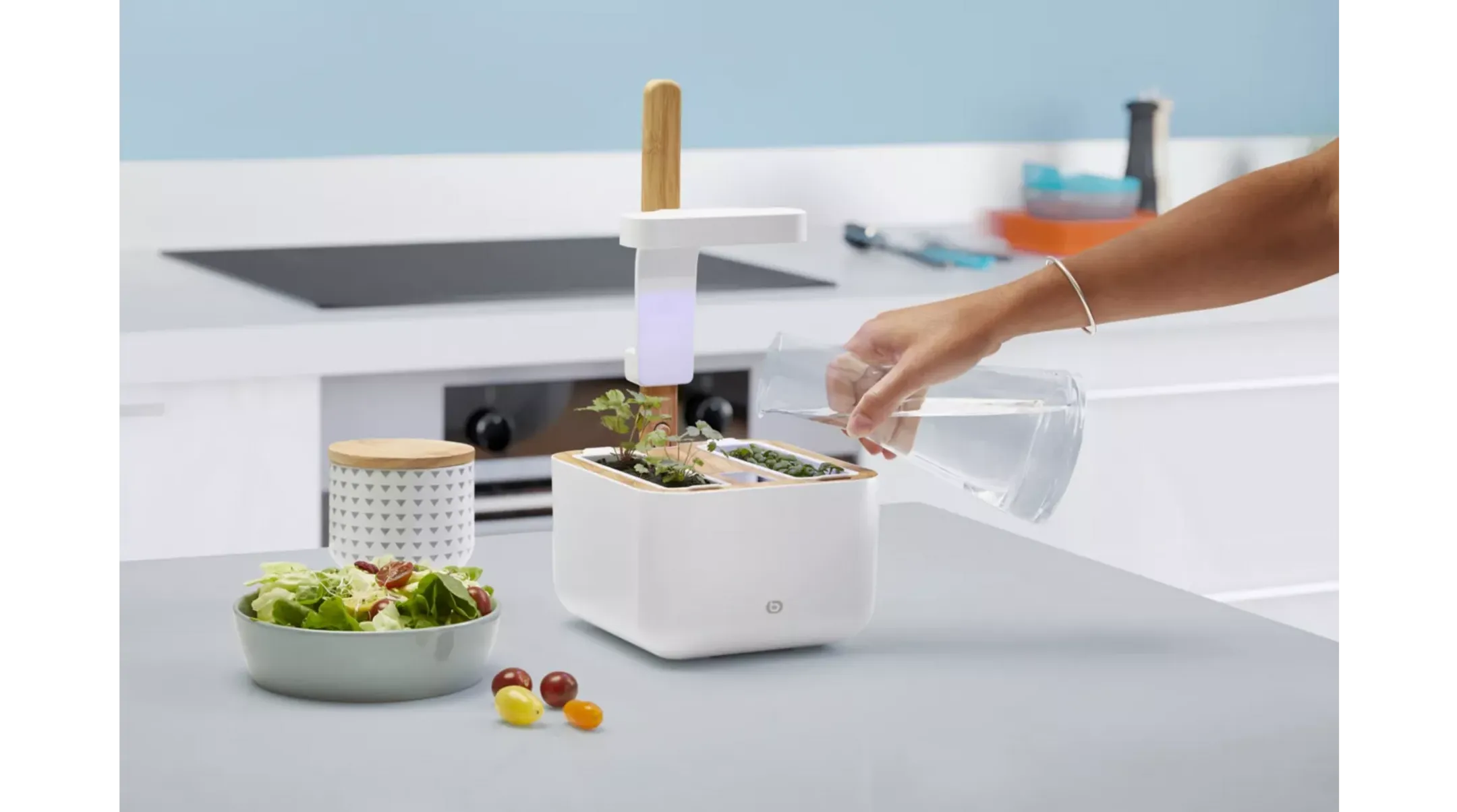 ESSENTIEL-B Eve Indoor garden image