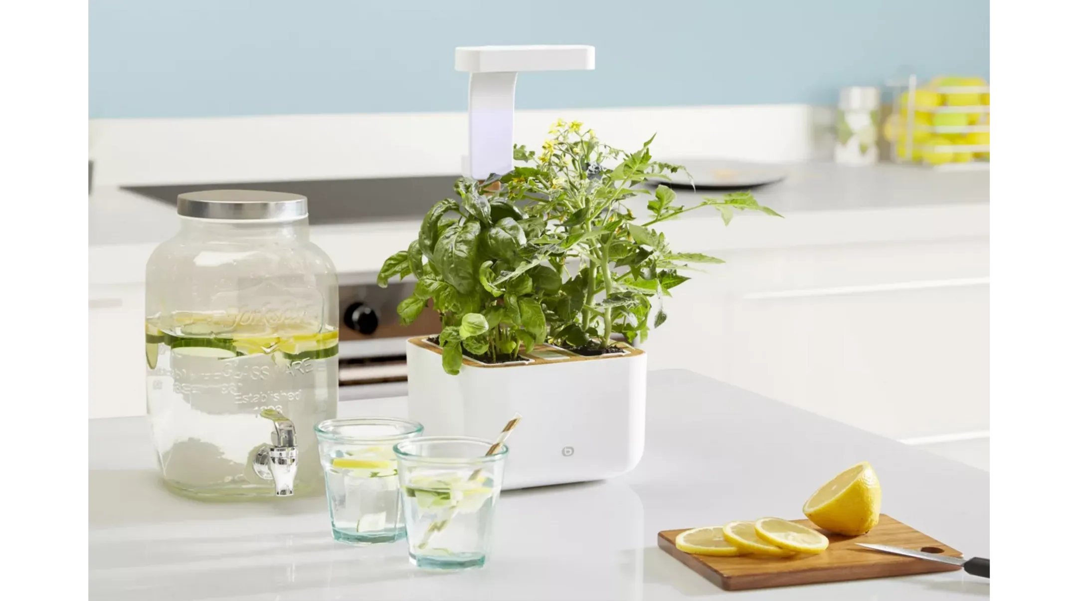 ESSENTIEL-B Eve Indoor garden image