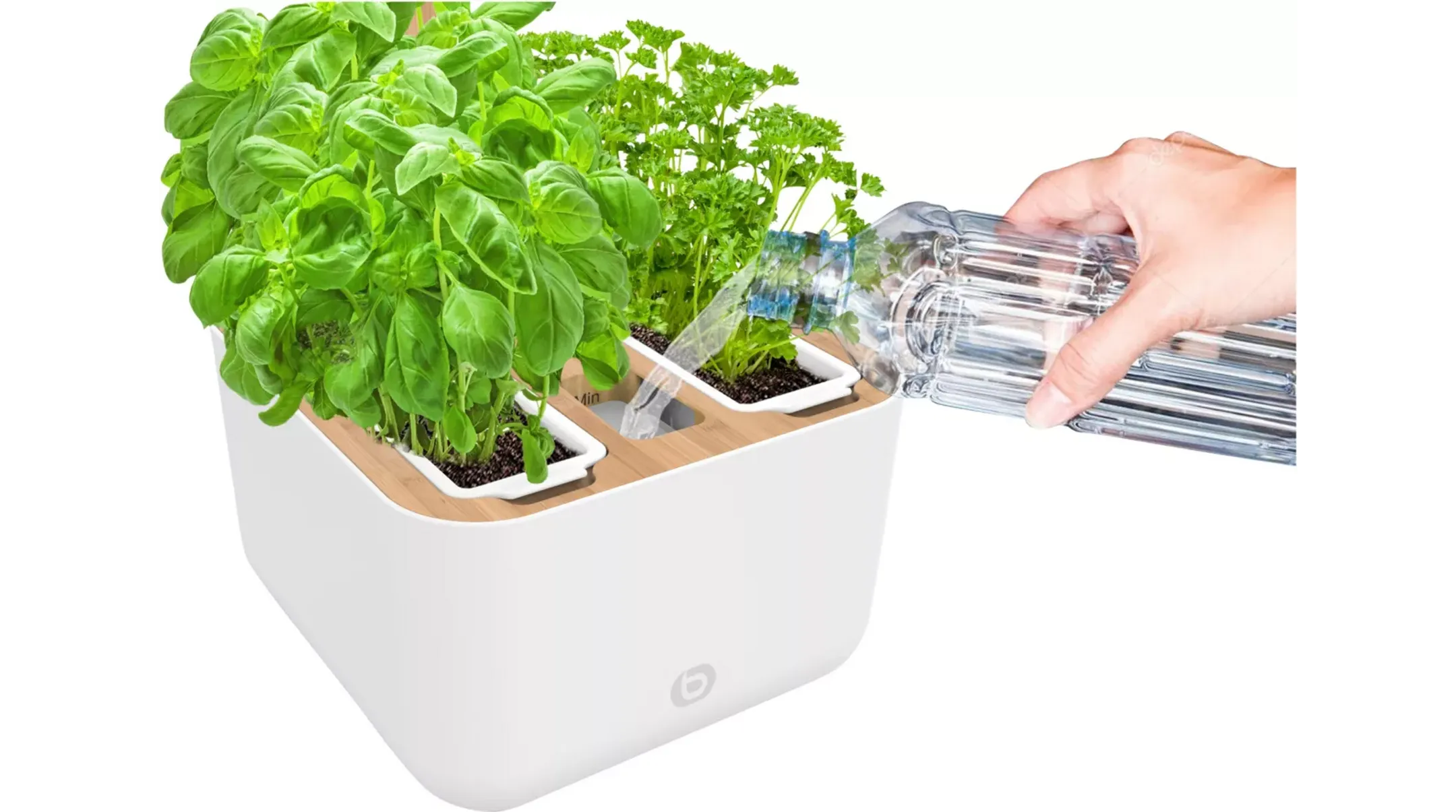 ESSENTIEL-B Eve Indoor garden image