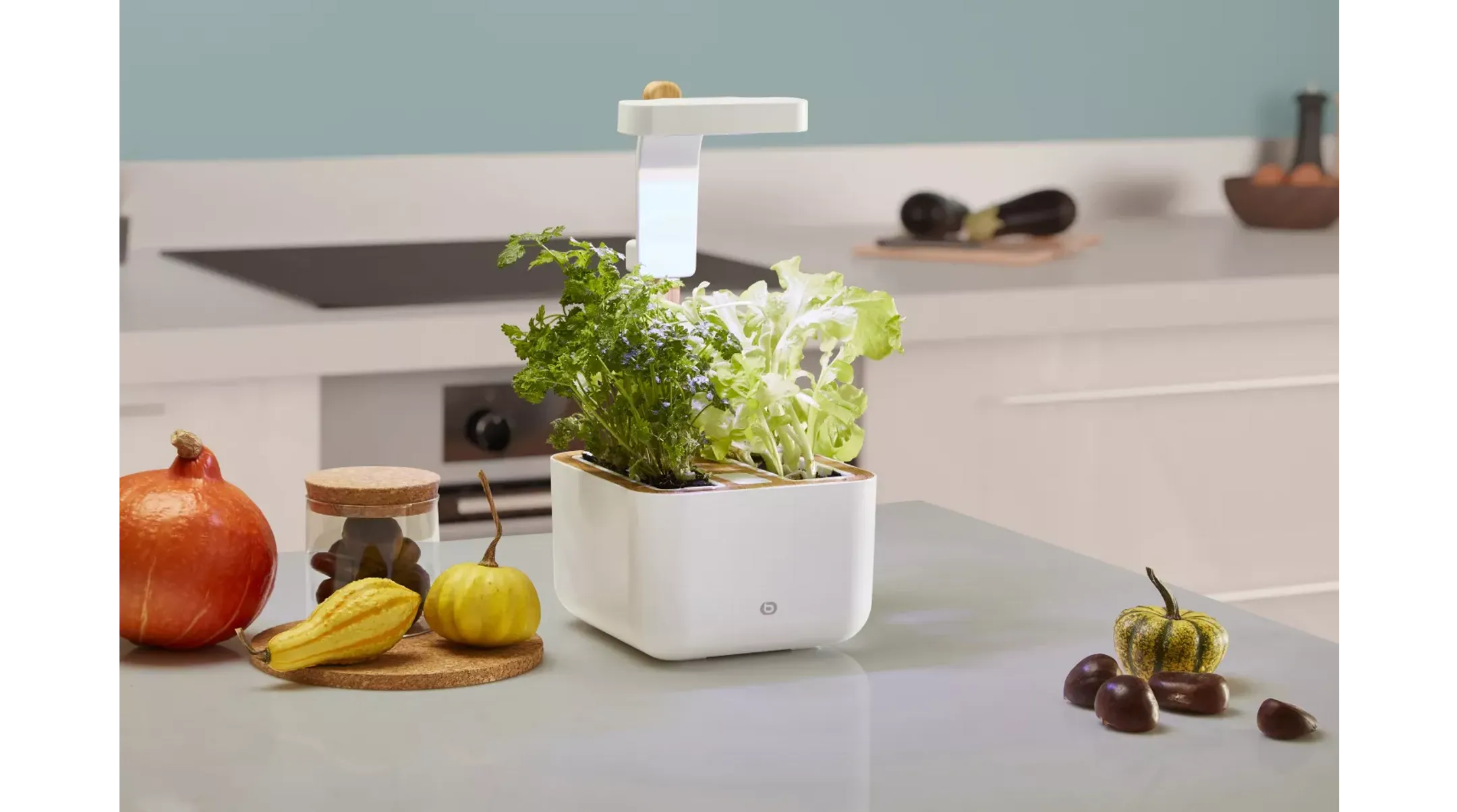 ESSENTIEL-B Eve Indoor garden image