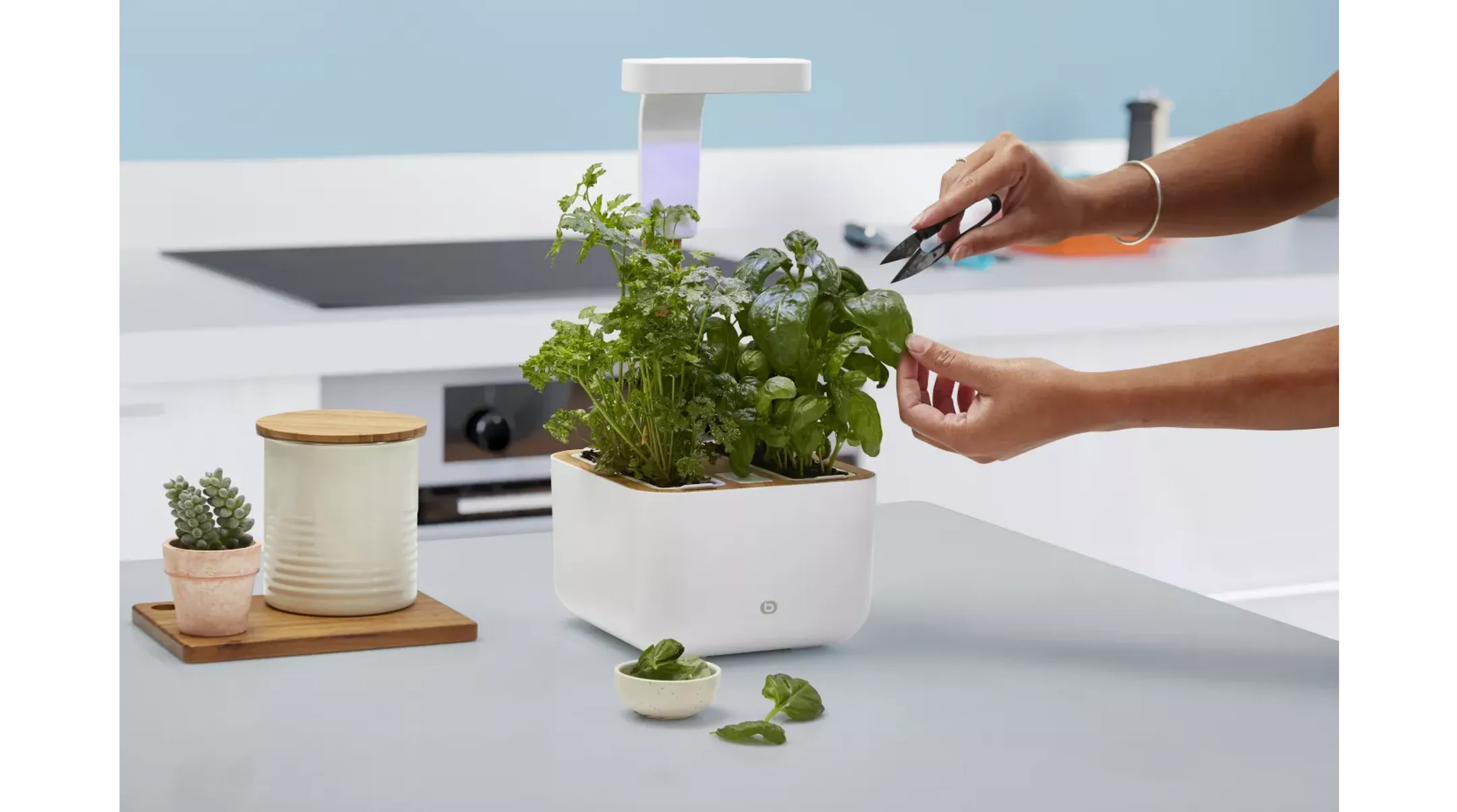 ESSENTIEL-B Eve Indoor garden image