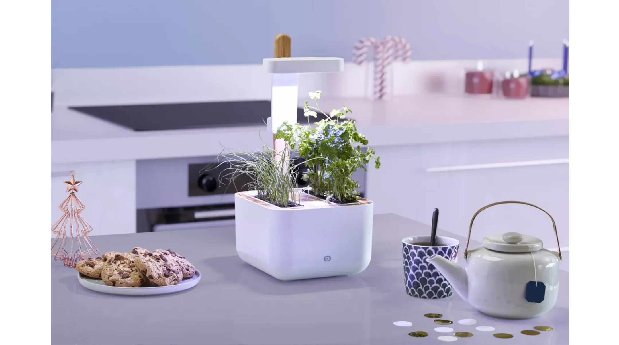 ESSENTIEL-B Eve Indoor garden image