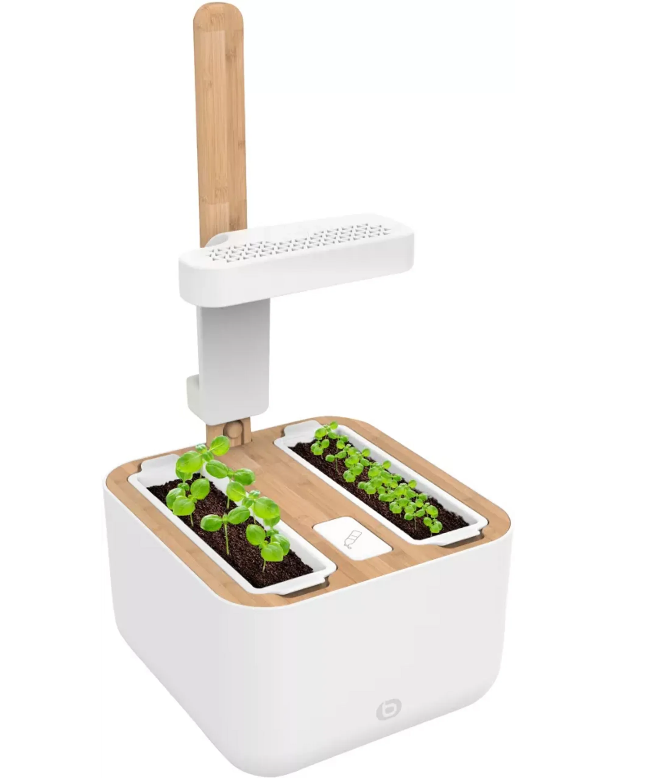 ESSENTIEL-B Eve Indoor garden image