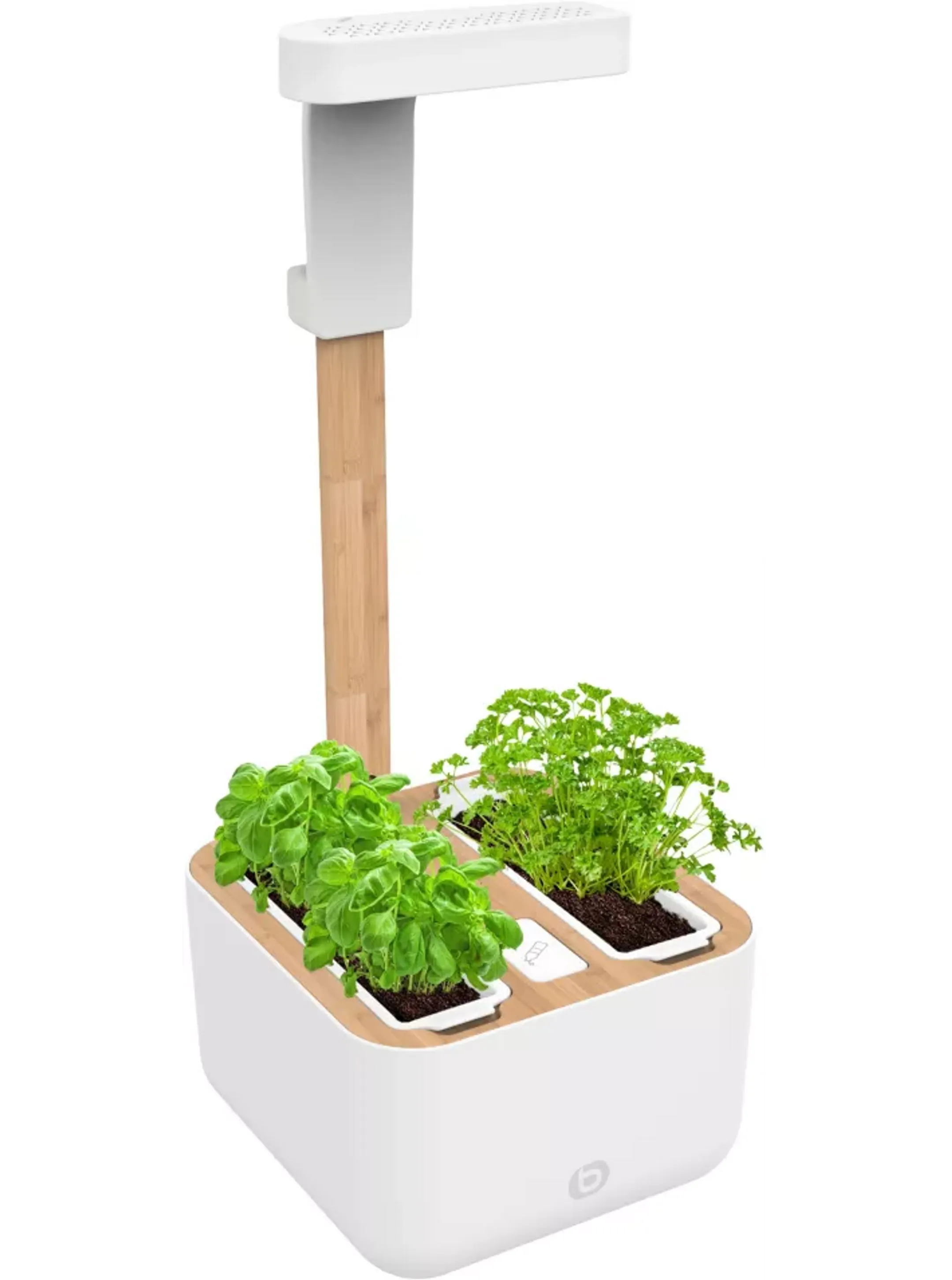 ESSENTIEL-B Eve Indoor garden image